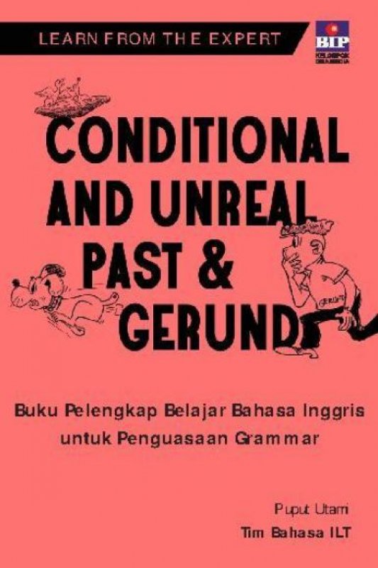 CONDITIONAL AND UNREAL  PAST & GERUND